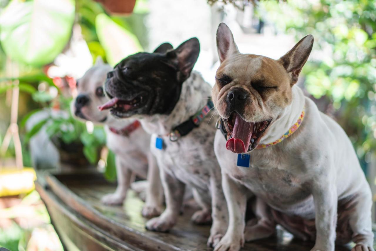 Sea Harmony Eco Lodge Hua Hin Ngoại thất bức ảnh